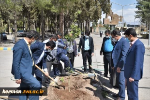 آغاز پویش ملی همکاشت در دانشگاه فنی و حرفه ای استان کرمان 2