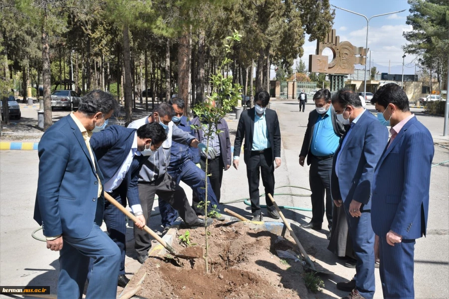 آغاز پویش ملی همکاشت در دانشگاه فنی و حرفه ای استان کرمان 2