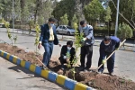 آغاز پویش ملی همکاشت در دانشگاه فنی و حرفه ای استان کرمان 4