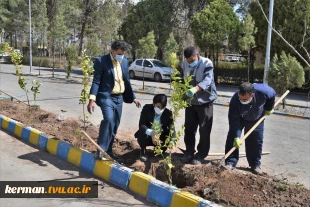 آغاز پویش ملی همکاشت در دانشگاه فنی و حرفه ای استان کرمان 4