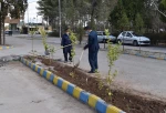 آغاز پویش ملی همکاشت در دانشگاه فنی و حرفه ای استان کرمان 5