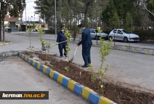 آغاز پویش ملی همکاشت در دانشگاه فنی و حرفه ای استان کرمان 5