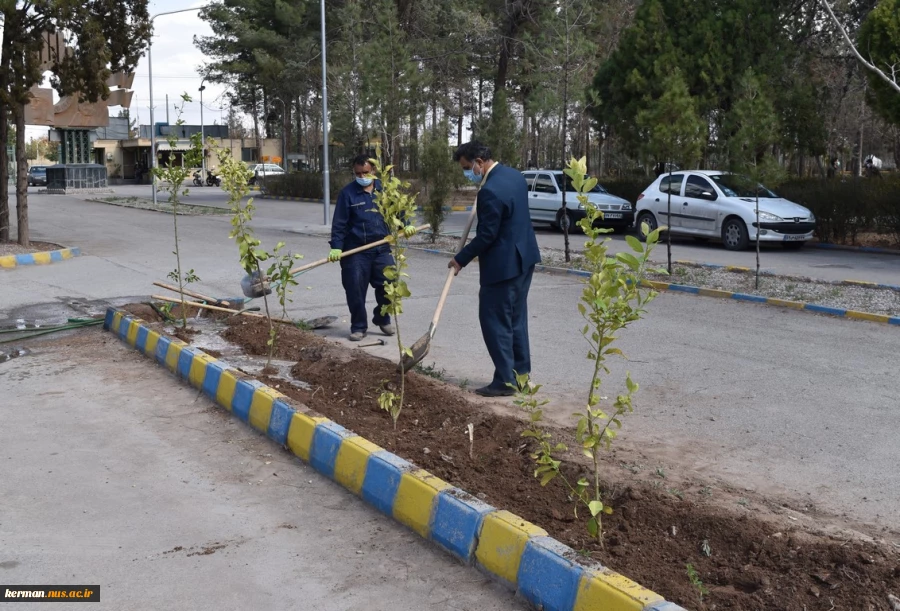 آغاز پویش ملی همکاشت در دانشگاه فنی و حرفه ای استان کرمان 5