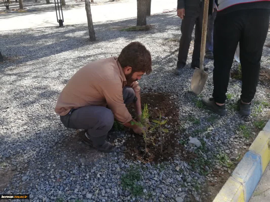 به همت کانون بسیج اساتید دانشگاه فنی و حرفه‌ای واحد استان کرمان و گرامیداشت هفته منابع طبیعی و روز درختکاری برگزار شد :
آئین کاشت 100 اصله نهال در دانشگاه فنی و حرفه ای واحد استان کرمان  2