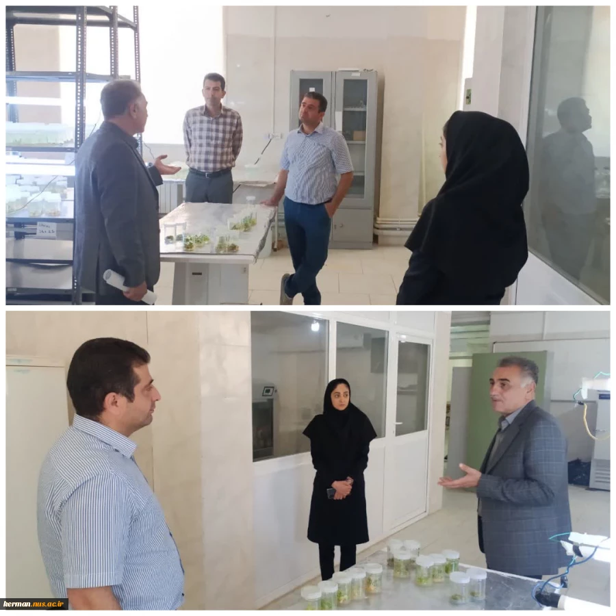 در راستای اجرای تفاهم‌نامه دانشگاه ملی مهارت  و سازمان نظام مهندسی کشور :
بازدید مسئولان سازمان نظام مهندسی کشاورزی و منابع طبیعی استان از آموزشکده کشاورزی رضوان کرمان 2
